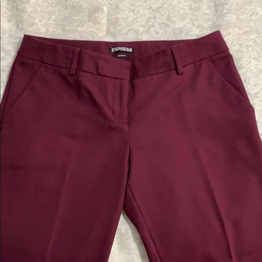 Express Columnist Pants